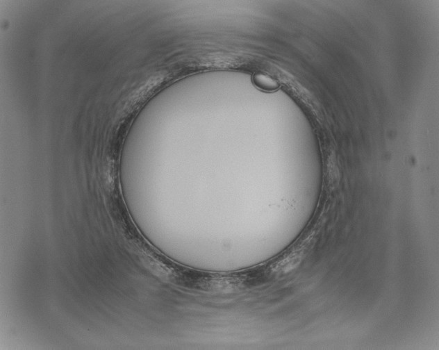 X0000072520305200608041539