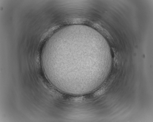 X0000072520306200608041539