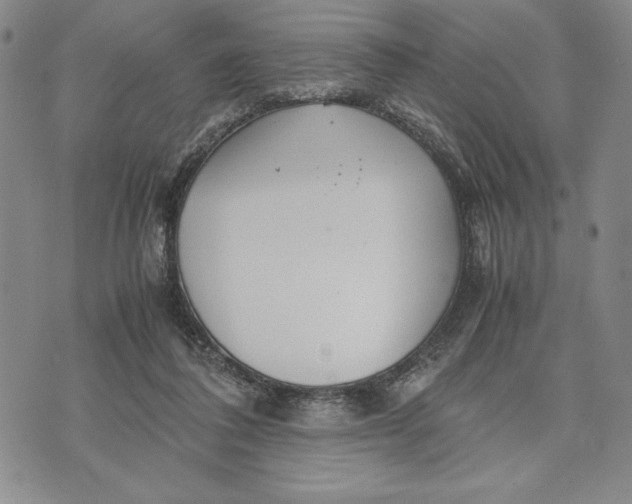 X0000072520308200608041539