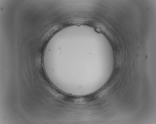 X0000072520309200608041539