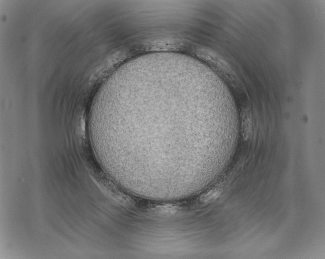 X0000072520310200608041539