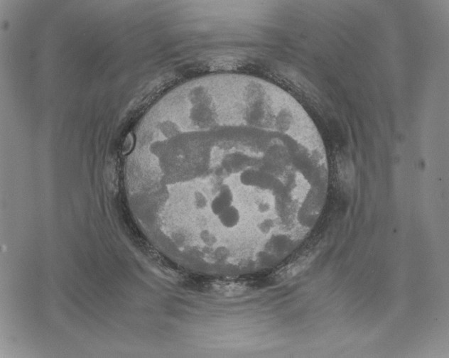 X0000072520311200608041539