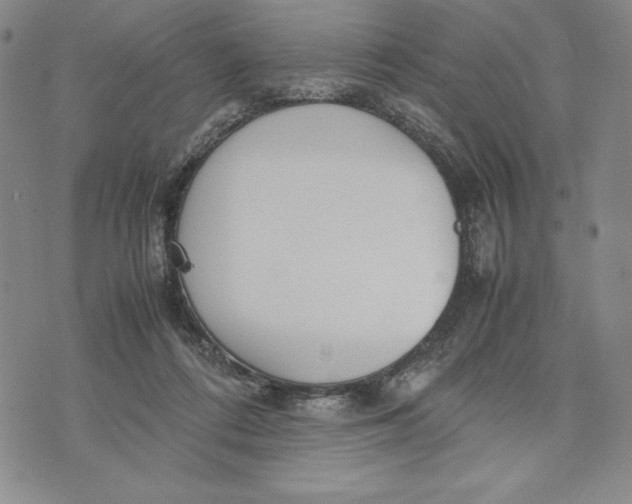 X0000072520312200608041539