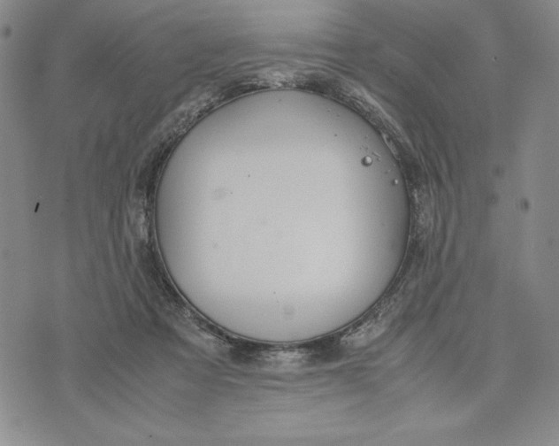 X0000072520313200608041538