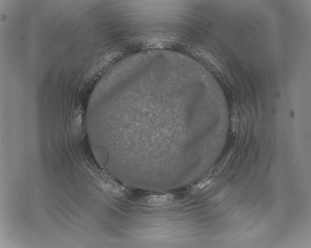 X0000072520314200608041538