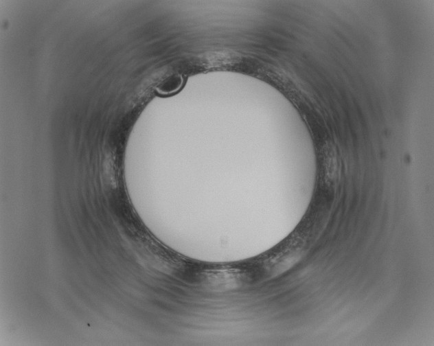 X0000072520316200608041538