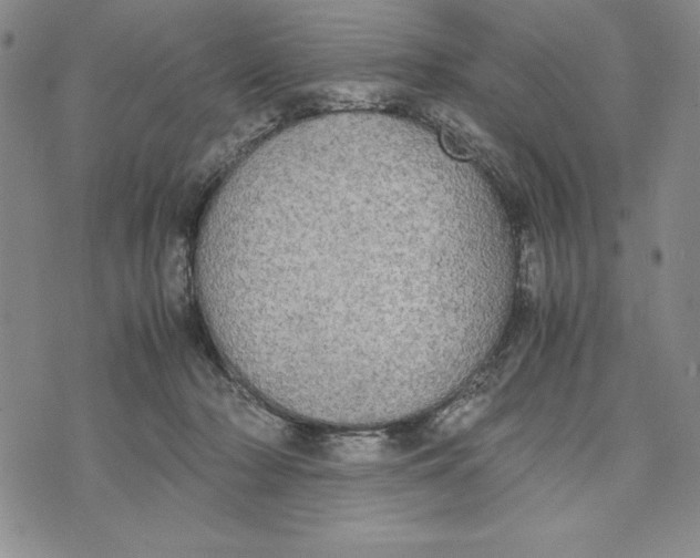 X0000072520318200608041538