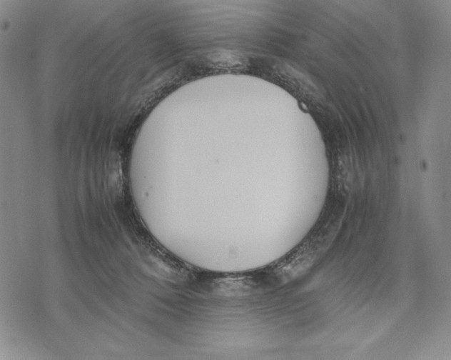 X0000072520320200608041538