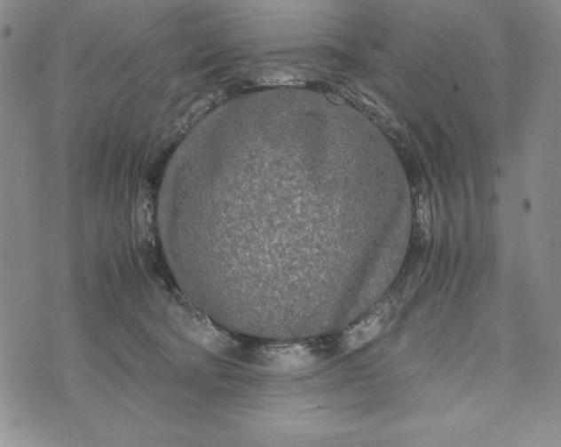 X0000072520322200608041538