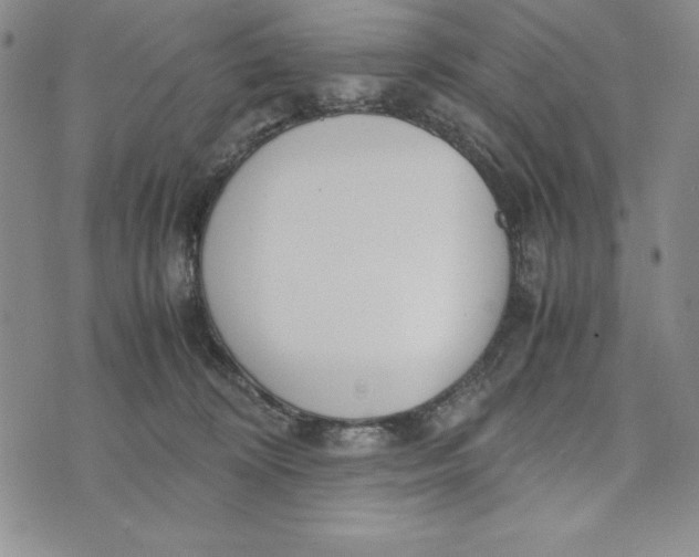 X0000072520324200608041538