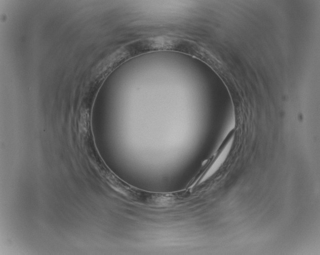 X0000072520325200608041538