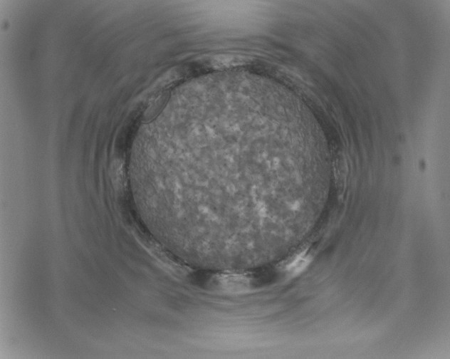 X0000072520327200608041538