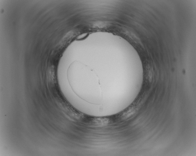 X0000072520328200608041538