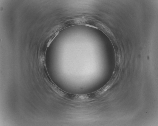 X0000072520329200608041538