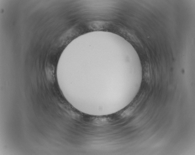 X0000072520332200608041538