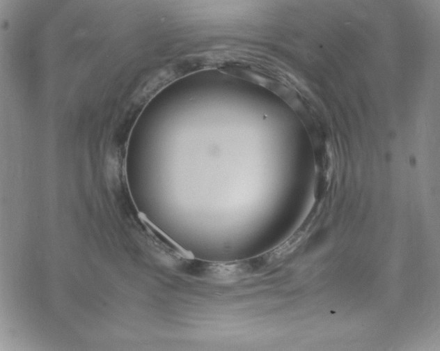 X0000072520333200608041538