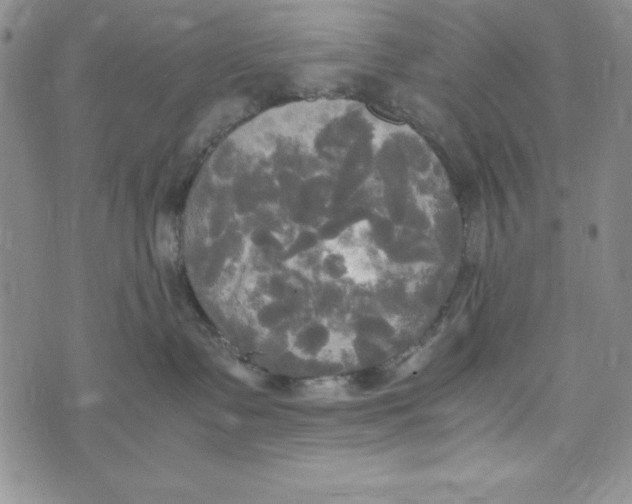 X0000072520335200608041538