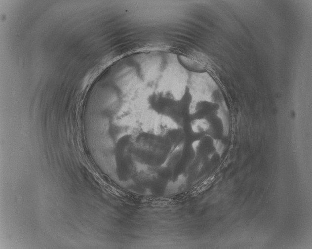 X0000072520337200608041537