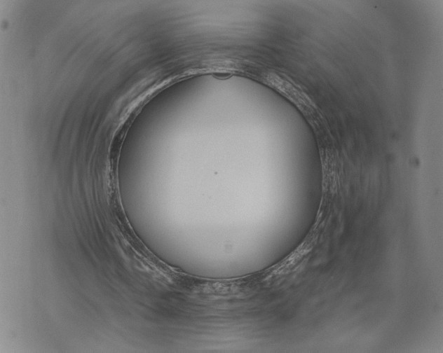 X0000072520338200608041537