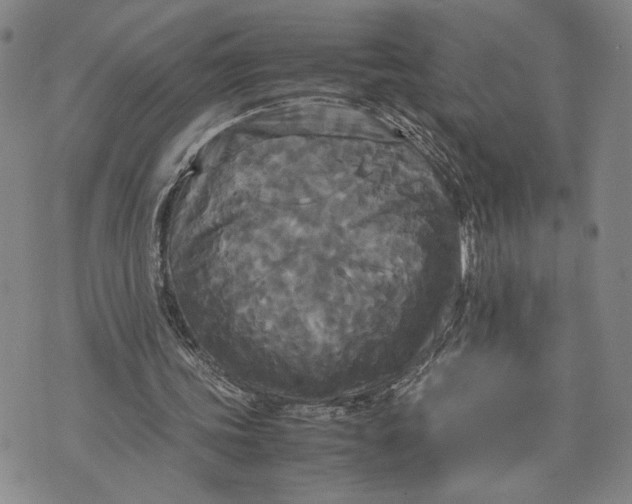 X0000072520339200608041537