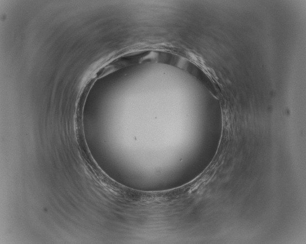 X0000072520340200608041537