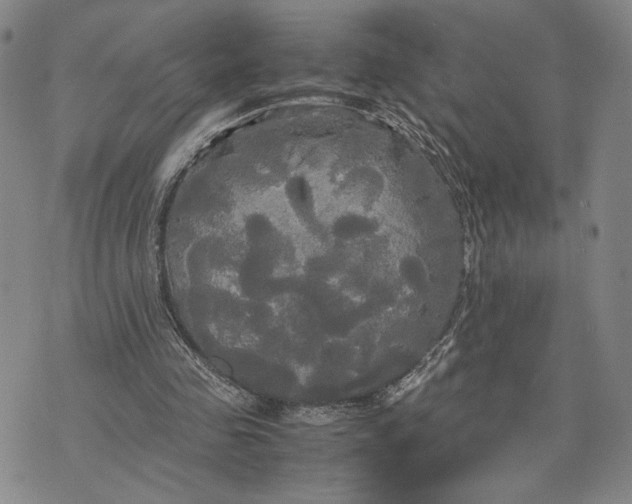 X0000072520341200608041537