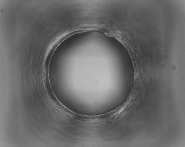 X0000072520342200608041537