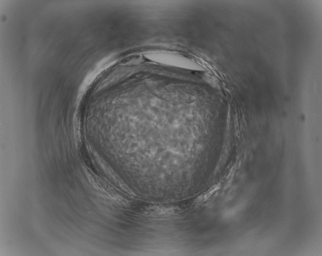 X0000072520343200608041537