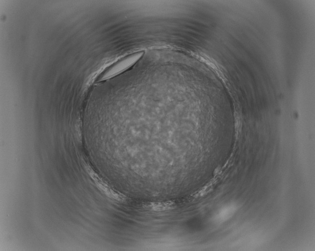 X0000072520345200608041537