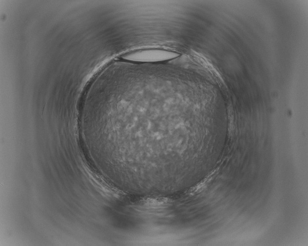 X0000072520346200608041537