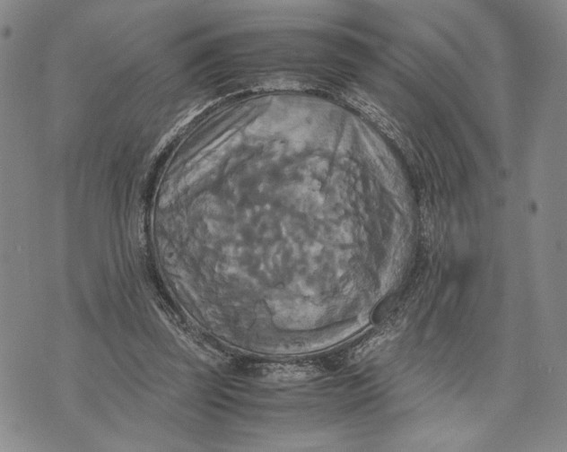 X0000072520347200608041537