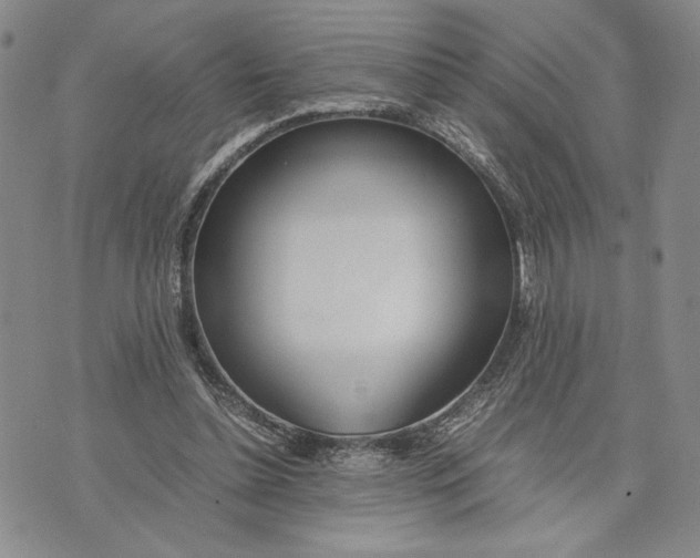 X0000072520348200608041537