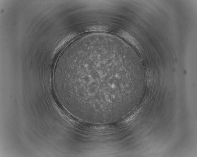 X0000072520349200608041537