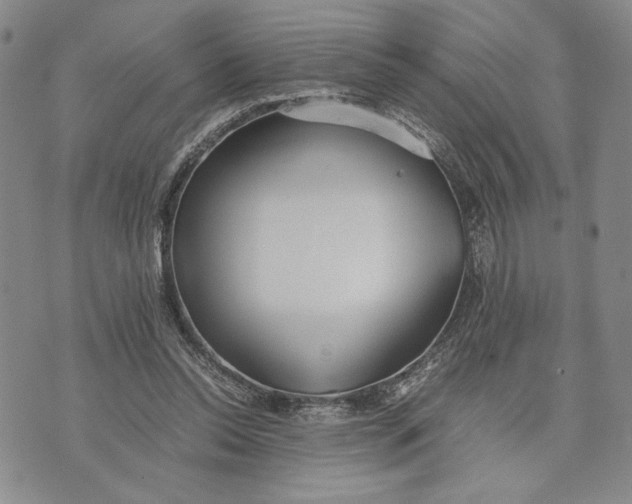 X0000072520350200608041538