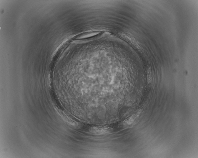 X0000072520351200608041538