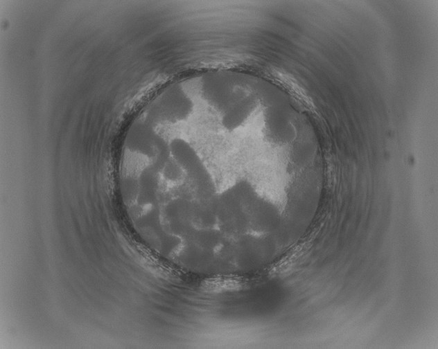 X0000072520354200608041538