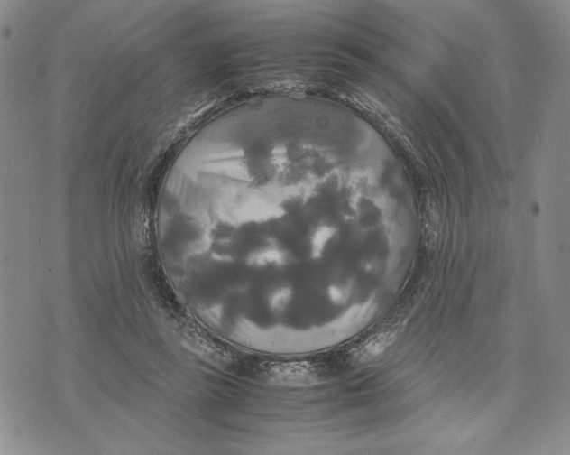 X0000072520355200608041538