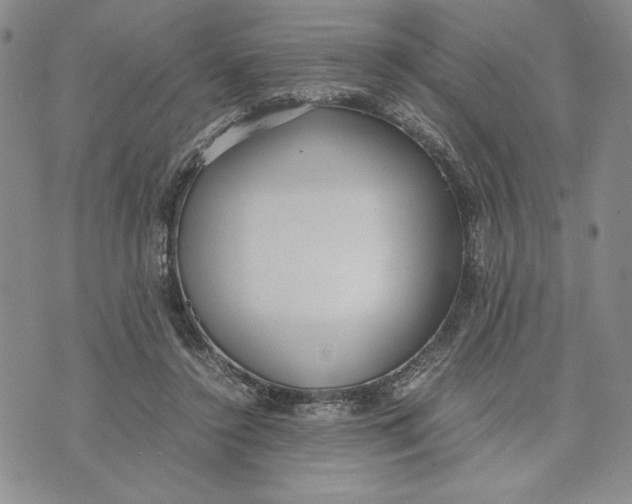 X0000072520356200608041538