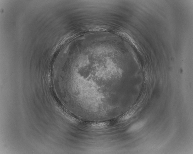 X0000072520357200608041538