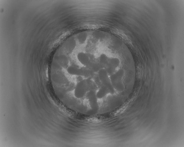 X0000072520358200608041538