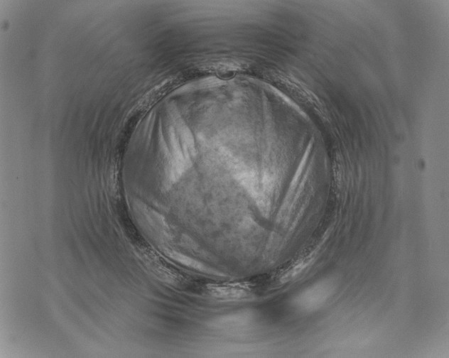 X0000072520359200608041538