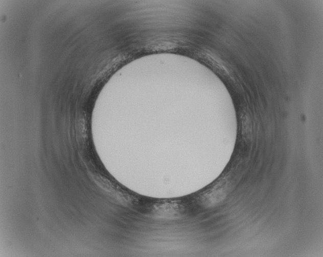 X0000072520362200608041538