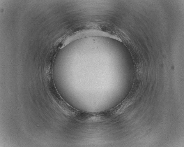 X0000072520364200608041538