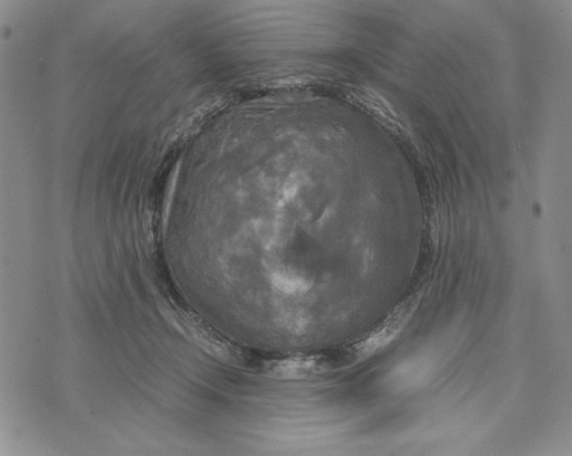 X0000072520366200608041538