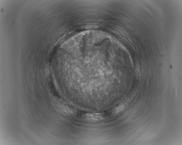 X0000072520367200608041538