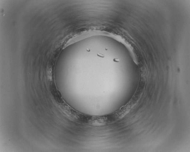 X0000072520368200608041538