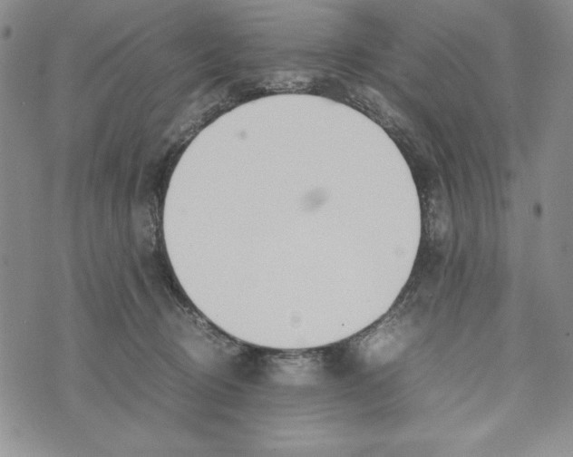 X0000072520370200608041538