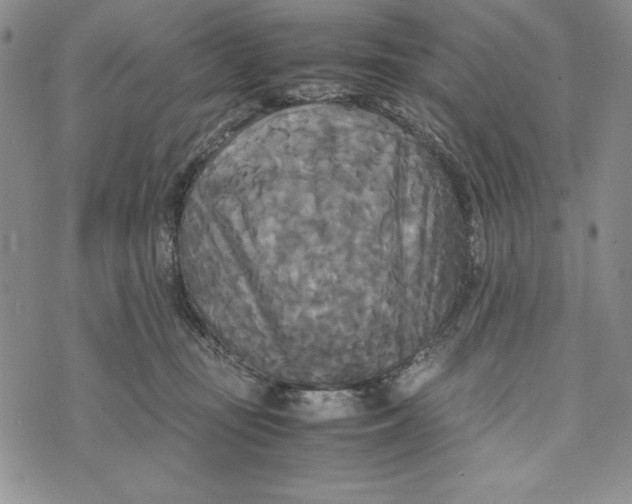 X0000072520371200608041538