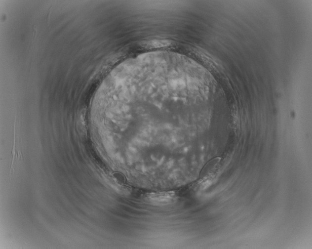 X0000072520373200608041538