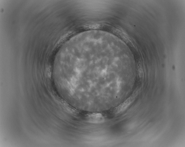 X0000072520374200608041538